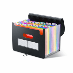 ThinkTex Ordner A4/Dokumentenmappe,12 Fächern Sortiermappe Fächermappe Datei Organizer mit Gummizug und Verschlußknopf,A4 Dokumententasche Aktenmappe Ordnungsmappe mit bunten Labeln Schwarz