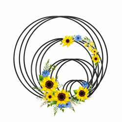 GZGXKJ 12 Stück Metallringe Zum Basteln, Metallring 5 10 15 20cm Metall Deko Ringe Schwarz Trockenblumen Kranz zum Aufhängen Für DIY Floral Hoop Hochzeitskranz Wandbehang Traumfänger Hoop