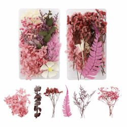 JRYGAC 2 Boxen Natürliche Getrocknete Blumen, Trockenblumen Set Trockenblumen zum Basteln Gepresste Blumen Klein für Kunst Basteln DIY Harz Scrapbooking Handwerk Karten Machen（Rose Rot）