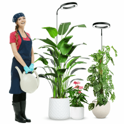 wolezek Pflanzenlampe LED Vollspektrum, 80 LEDs 6500K Grow Light, 160cm Großes Grow Lampe, 3 Farben Pflanzenlicht mit 360° Schwanenhals, 6/12/16H Timer, 5 Helligkeit (Schwarz 2 Stück)