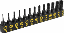 LEXIVON Torx Bit set 13-teiliges T4, T5, T6, T7, T8, T9, T10, T15, T20, T25, T27, T30, T40, Tamper Resistant bitsatz, für bosch, makita, milwaukee, und andere Bohrer (LX-301) Torx Bits
