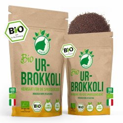 NanaNatura's Bio Ur-Brokkoli Sprossen Samen 600g VORTEILSPACK | Keimfähige Brokkoli-Samen mit hohem Sulforaphan-Gehalt zur Brokkolisprossen Zucht | Microgreens fürs Sprossenglas 600g Bio Ur-Brokkoli Samen