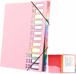 Delamiya Dokumentenmappe A4, Tragbar Fächermappe mit 12 Fächern, PP Kunststoff Ordnungsmappe Pultordner mit Gummizug, Wasserdicht, für Schule Bürobedarf Rosa