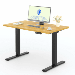 Flexispot - E1 - Höhenverstellbarer elektrischer Schreibtisch mit Tischplatte, Zwei-Wege-Teleskop, mit Speichersteuerung (120 x 80 cm, Ahorn + schwarzer Rahmen) 120 x 80 cm Ahorn+schwarz Gestell