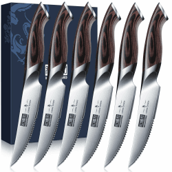 HOSHANHO Steakmesser 6-Teilig Set, Hochwertige Edelstahl Küchen Steakbesteck, Scharfe Gezahnte Steak Messerset mit Ergonomischem Griff Steakmesser Set 6 Teilig Silber