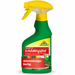 Neudorff Spruzit AF Schädlingsfrei – Bekämpft Schädlinge wie Buchsbaumzünsler, Blattläuse, Thripse an Zierpflanzen, Gemüse, Obst und Kräutern, 250 ml 250ml Single