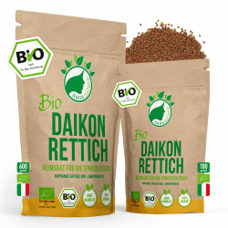 Bio Daikonrettich Sprossen Samen 180g | Keimfähige Daikon Rettich Samen zur Sprossenzucht | Microgreens 180g Bio Daikonrettich Samen