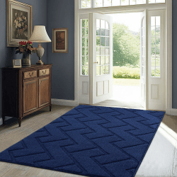Biscpro Fußmatte Innen Außen Waschbar eingangsteppich innen Schmutzfangmatte rutschfest,Türmatte Innen Teppich für Eingang, Patio, Flur, Garten, Innen und Außen (Blue, 90 x 150 cm) 90 x 150 cm (Rechteckig) Blau