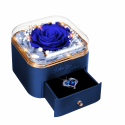 GOICC Ewige Rose Infinity Rosen mit Kette Konservierte Echte Rosen Schmuck Box Mama Oma Freundin Hochzeitstag Geburtstag Geschenke Für Frauen Blau