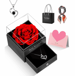 GOICC Ewige Rose Infinity Rosen Valentinstag Mit Ich Liebe Dich Halskette Geschenke Für Frauen Mama Oma Ehefrau Freundin Geschenk Zum Valentinstag Sie Rosenbox Zum Muttertag Hochzeitstag Geburtstag Rot