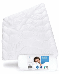 Bettdecke 200x220 Winter, Warme Winterdecke mit 𝐇𝐲𝐠𝐢𝐞𝐧𝐞𝐬𝐜𝐡𝐮𝐭𝐳 für Allergiker, Atmungsaktive Stepp-Decke Blanco mit Feuchtigkeitsmanagement, Große und extra weiche Blanket für 2 Personen Ganzjahresdecke 200 x 220