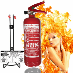 Brandengel Premium Autofeuerlöscher 2kg Pulverlöscher Feuerlöscher, LKW PKW Motorrad KFZ EN 3 Messingarmatur Manometer Halterung ABC 4LE (Mit Prüfnachweis u. Jahresmarke) 2.) mit Prüfnachweis Cmit.) 1x 2kg Druckhebel ABC Pulver 13A 34B C =4LE