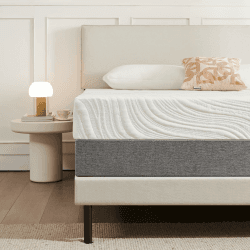 Twirest Matratze 160x200 cm Höhe 24cm Kaltschaummatratze Härtegrad-H3 Orthopädische 7-Zonen Rollmatratze, Abnehmbarer Stoffbezug Matratzen mit Reißverschluss 160 x 200 x 24 cm