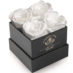 Impouo Konservierte Rose, Geschenke für sie, Geburtstagsgeschenke für Frauen, Muttertagsgeschenke, Geschenke für Mutter/Freundin/Ehefrau/Oma, Weihnachten, Geburtstag, Valentinstag – weiße Rose Weiß 4 Rose