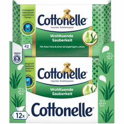 Cottonelle Feuchtes Toilettenpapier, Wohltuende Sauberkeit, Mit prebiotischer Lotion, Biologisch Abbaubar, Plastikfrei, Wiederverschließbar, 12 x 42 Feuchttücher 12x42 Feuchttücher (Neu)