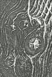 Sizzix 3-D Texture Fades Prägemappe Woodgrain von Tim Holtz | 666297 | Scrapbooking, Kartenherstellung, Journaling, Holzmaserung, One Size
