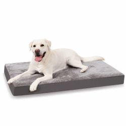 KSIIA Orthopädisches Hundebett für Große Mittelgroße Hunde, Waschbar Hundekissen Flauschig Hundematte Hundematratze mit Abnehmbarer Deckel in Dunkelgrau 90x55x7cm L 90 x B 55 x H 7 cm dunkelgrau