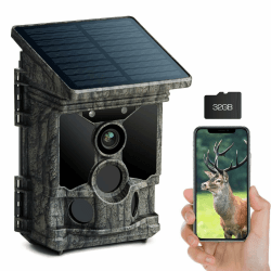 VOOPEAK Solar Wildkamera WLAN 4K 30fps 100MP, Bluetooth Wildkamera mit Bewegungsmelder Nachtsicht, Wildtierkamera mit Handyübertragung APP 120° Weitwinkel mit 32GB Micro SD Karte IP66 Wasserdicht Grau