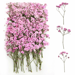 100 Stück Gepresste Blumen Schleierkraut Getrocknet（Rosa） Schleierkraut Trockenblumen Schleierkraut Trockenblumen Getrocknete Blumen Trockenblumen zum Basteln Getrocknete Blüten für DIY Harz Schmuck
