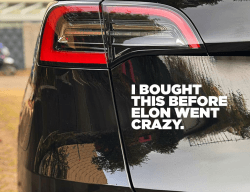 I BOUGHT THIS BEFORE ELON WENT CRAZY - Der Original Sons of Battery Anti Elon Auto Aufkleber Vinyl Sticker (Weiß Matt)
