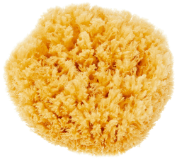 CROLL & DENECKE P180, Naturschwamm, Meeresschwamm Handveredelt aus dem Meer, 18 cm, Natur, 1 Stück