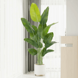Keeplush Künstliche Paradiesvogel Pflanze groß 180cm künstliche Tropische Palme mit 13 Blättern perfekte künstliche Pflanzen im Topf für drinnen und draußen Haus Büro Garten Moderne Dekoration（1 Pack） 1 180cm