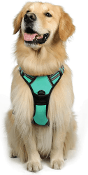 rabbitgoo Hundegeschirr Mittelgroße Hunde, Anti Zug Geschirr mit Kontrolle, No Pull Verstellbar Hundegeschirr Grosse Hunde, Atmungsaktiv Reflexstreifen Brustgeschirr Sichere Führung Grün XL XL (1er Pack) Mint Grün