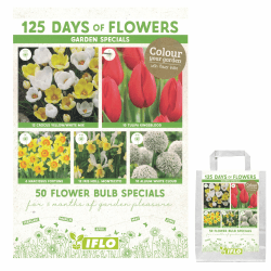 Blumenzwiebeln in Geschenkverpackung - Zwiebeln, Knollen verschiedener winterharter Pflanzen für Garten und Balkon - bunt, mehrjährig, für Topf und Beet (Garden Specials 50St.)