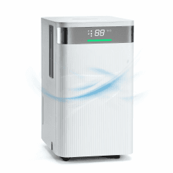 HAUSHOF Luftentfeuchter Elektrisch 12L/Tag, 38dB Leiser Entfeuchter Elektrisch für 20m² Raum mit 2L Tank und LED Anzeige, 3 Modi Tragbarer Raumentfeuchter für Schlafzimmer, Keller, Badezimmer