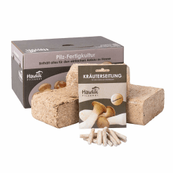 Hawlik Pilzbrut – Kräuterseitling Pilzbeet-Set – Kinderleicht Kräuterseitlinge selbst züchten im eigenen Garten – Pilze züchten Set – Ideales Pilzzuchtset für den Garten
