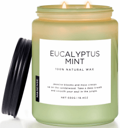 M&SENSE Duftkerze Eukalyptus Minze,550g 90 Stunden lang brennend, große Kerzen mit 2 Docht, dekorative Kerzen im Glas, natürliches Sojawachs, Aromatherapie Kerze zur Entspannung für Spa, Bad, Yoga