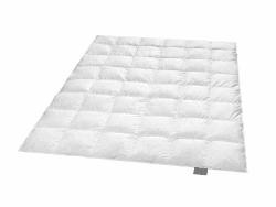 Traumnacht Exklusiv medium Daunendecke mit neuen weißen Daunen (90%) und Federn (10%), DIN EN 12934, 155 x 220 cm, Down Pass und Öko-Tex zertifiziert, produziert nach deutschem Qualitätsstandard