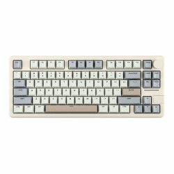 EPOMAKER Galaxy70 Aluminium Mechanische Tastatur, Kabellose Gaming Tastatur Bluetooth/2.4GHz/USB, Programmierbare und Hot Swappable Thocky Tastatur (Weiß Grau, Petal Linear Switch)