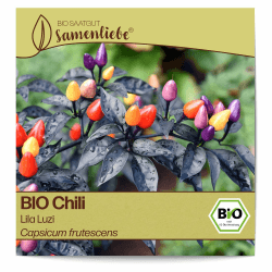 Samenliebe BIO Chili Samen Lila Luzi 10 Samen samenfestes Gemüse Saatgut für Gewächshaus Freiland und Balkon BIO Gemüsesamen