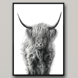 IUNTWEIE Nordic Highland Kuh Leinwand bilder Druck, Schottisches Hochland kuh Poster Wandbilder, Modern Hochlandrind Dekoration für Wohnzimmer Wohnkultur Dekor Kein Rahmen (Hochlandrind-1, 50x70)