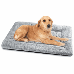 Baodan Hundebett Mittelgroße Kleine Hunde, Hundekissen Waschbar für kleine mittelgroße Hunde, Dog Bed - 75x50 cm Superweich Katzenbett mit Rutschfester Unterseite - Grau