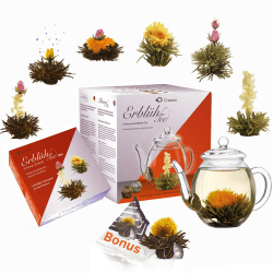 Creano Teeblumen Geschenkset - Erblühtee mit 500ml Glaskanne & 6x schwarzer & weißer Tee + 1x Teelini Schwarztee Bonuskugel - 8 teilig