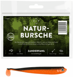 Zanderfang - Gummifische für Zander - 4 x 12,5 cm Gummifisch in 6 Farben - auch als 24er Gummifisch Set
