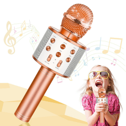 Tesoyzii Mikrofon Kinder, Spielzeug ab 3 4 5 6 7 8 9 10 11 12 Jahre Junge Karaoke Mikrofon Kinder Geschenk Junge 3-12 Jahre Microphone Geschenk Mädchen 3-12 Jahre Weihnachten Geschenke für Jungs