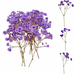 Ruzister 50 Stück Trockenblumen, kleine Baby Atem Blumen, echte Natur, lila und zart, für DIY Kerze, Harz, Schmuck, Nagelkunst, Kunsthandwerk Schleierkraut