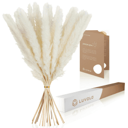 LUVOLO Pampasgras Weiß mit schützender Box & Pflege-Tipps - Trockenblumenstrauß in höchster Qualität - Boho Deko für Wohnzimmer, Schlafzimmer, Büro ...