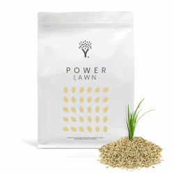 MOOWY Power Lawn Rasensamen Schnellkeimend 50m² - Merhjährige und Strapazierfähige Sport und Spiel Rasensaat mit Biostimulanz-Beschichtung für 38% mehr Keimung - Ideal als Rasenreparatur Grassamen