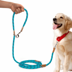 PETCOOZ Hundeleine 3 M Verstellbare Schleppleine für Mittel- & Großhunde(15-60kg), Reflektierende Freihandleine mit 2 Karabiner, Doppelleine aus Robustem Nylon, 200 kg Extreme Kraft