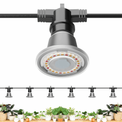SANSI Pflanzenlampe LED Vollspektrum für Zimmerpflanzen, IP54 Wasserdichte Pflanzenleuchte Lichterkette mit 6 Stücke E27 12W Wachstumslampe Birnen für Gewächshaus, Sämling, Blumen, Gemüse (6,7 Meter)