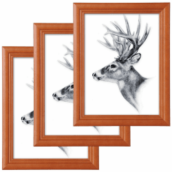 WOLTU Bilderrahmen 15x20 cm 3er Set Fotorahmen Holzrahmen mit Passepartout, zum vertikalen oder horizontalen Aufhängen/Aufstellen, Posterrahmen Collage Wanddeko, Braun