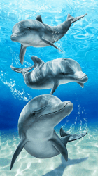 YISUMEI - Badetuch - Baron Bay Delphine - 70 cm x 140 cm Strandtuch