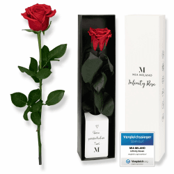 Mia Milano Infinity Rose rot am Stiel (3 Jahre haltbar) in Geschenkbox I Valentinstag Deko Geschenk für Sie I Eine konservierte Blume mit Rosenduft I Inkl. Geschenkkarte