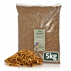 Eggersmann volaris 5 kg Mehlwürmer getrocknet | Proteinreich & Natürlich | Ideal für alle Vogelarten | Wildvogelfutter Ganzjahresfutter
