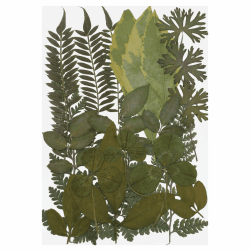 EXCEART 1 Satz Echte Getrocknete Gepresste Blumen Blatt Pflanze Herbarium Bunte Gänseblümchen Blätter Hortensien für Kunsthandwerk DIY (7 Muster Natürliche Farbe)