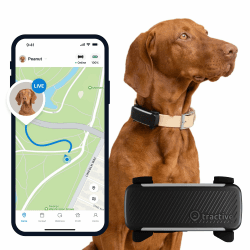 Tractive GPS Tracker Hund | Empfohlen von Martin Rütter | Live-Ortung | Weglaufalarm | Aktivitätstracking | Gesundheitswarnungen | Bellverhalten | Abo Erforderlich (Schwarz)